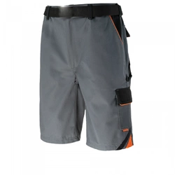 Spodenki krótkie Professional w kolorze szarym